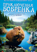 Приключения бобрёнка