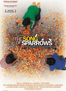 Песня соловьев