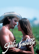 Дикая кошка сезон 1