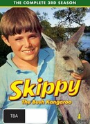 Скиппи сезон 1