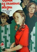 Сцены из семейной жизни