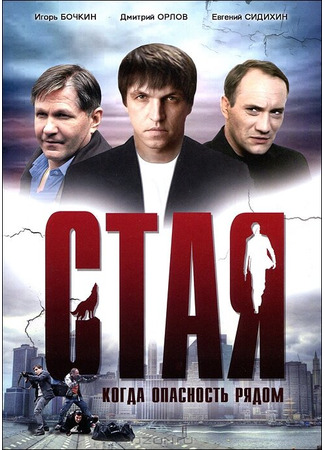 Стая