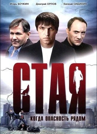 Стая