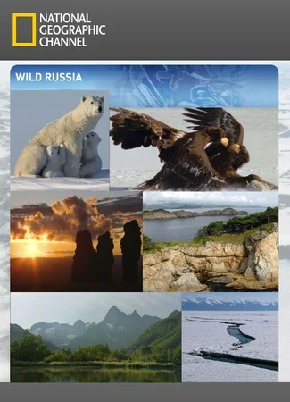 Дикая природа России