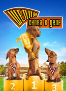 Шелли снова в деле: Часть 1