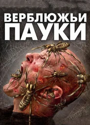 Верблюжьи пауки