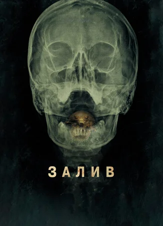 Залив