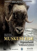 Возвращение овцебыка