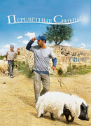 Перелетные свиньи