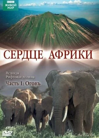 BBC: Сердце Африки