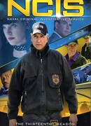 Морская полиция: Спецотдел сезон 13