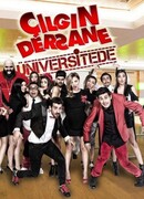 Сумасшедший класс в университете сезон 1