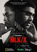 Гений сезон 4