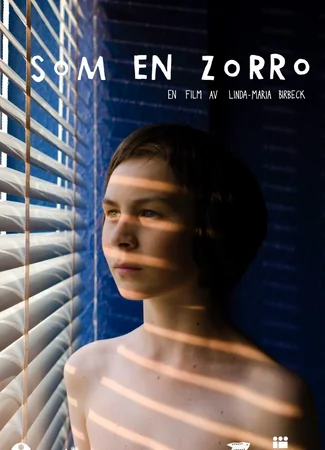 Som en Zorro