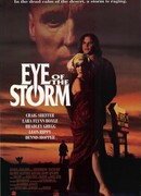 Глаз шторма (1991)