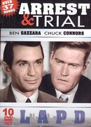 Арест и судебное разбирательство сезон 1