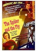 Паук и муха