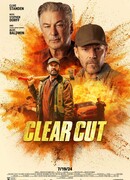 Чёткий разрез