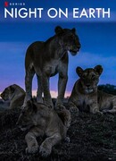 Ночь на земле сезон 1