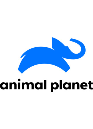 Производитель Animal Planet 11.07.24