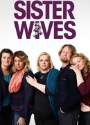 Многоженец сезон 14