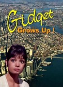 Гиджет взрослеет