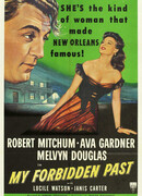 Моё запретное прошлое