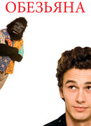 Обезьяна