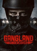 Под прикрытием сезон 2