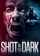 Выстрел в темноте