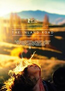 Дорога домой