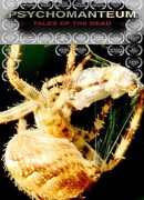 Психомантиум