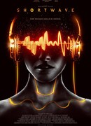 Короткая волна