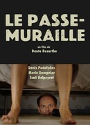 Проходящий сквозь стены