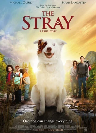 The Stray