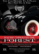 Racing Through the Forest