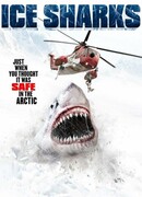 Ледяные акулы