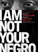 Я вам не негр