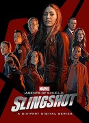 Агенты «Щ.И.Т.»: Йо-йо сезон 1