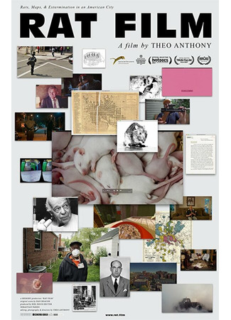 кино Крысы (Rat Film) 31.07.24