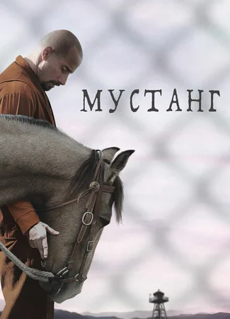 Мустанг