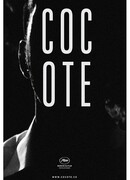 Кокоте
