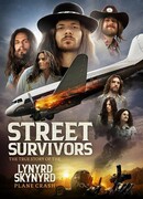 Выжившие: Подлинная история крушения самолёта группы Lynyrd Skynyrd