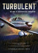 Турбулентность