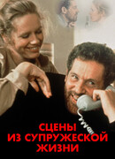 Сцены из супружеской жизни