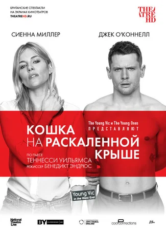 Кошка на раскалённой крыше