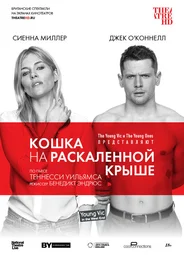 Кошка на раскалённой крыше