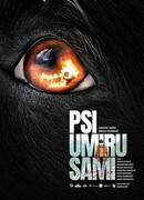 Psi umiru sami