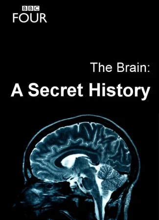 The Brain: A Secret History