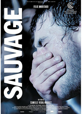 кино Дикий (Sauvage) 31.07.24